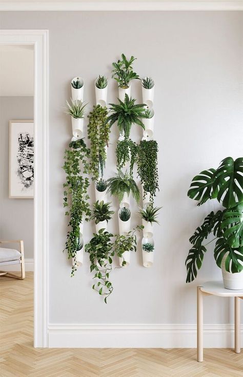 Plants Wall Plants Hanging, نباتات منزلية, Furniture Handmade, Best Indoor Plants, Bathroom Plants, Garden Types, Bedroom Plants, Plant Decor Indoor, Houseplants Indoor