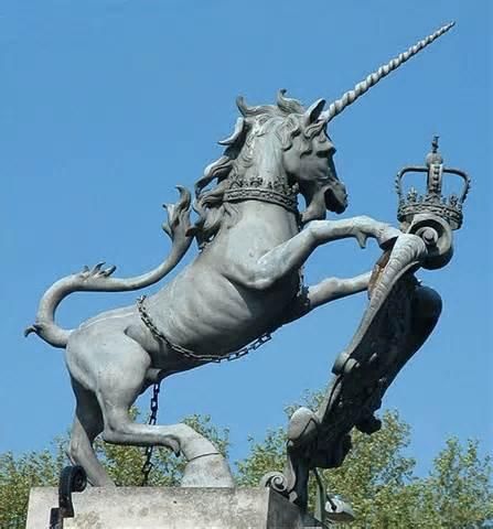 Unicorn - The National Symbol of Scotland Animal Symbol, Great Scot, Scotland Forever, Last Unicorn, National Animal, Animal Symbolism, National Symbols, 수채화 그림, England And Scotland