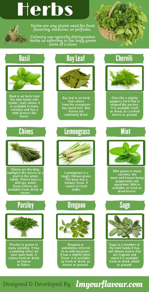 Herbs are any plants used for food, flavoring, medicine, or perfume. Culinary use typically distinguishes herbs as referring to the leafy ... Benefits Of Herbs, Plants Names, Ayurvedic Plants, Gardening Herbs, Food Holidays, Medicinal Herbs Garden, Medical Herbs, Herbal Plants, Magic Herbs