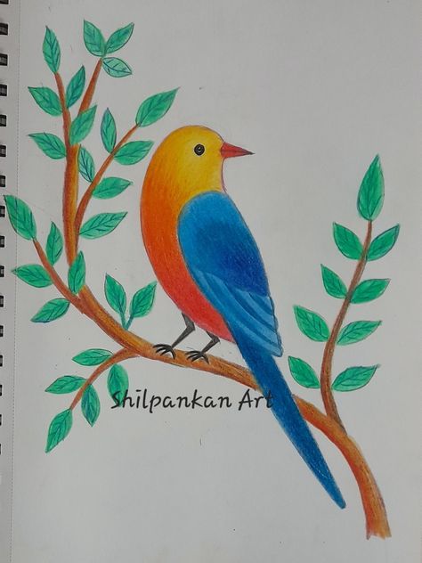 Bird Drawings With Colour, Sketches With Pencil Colours, Easy Crayon Drawings For Beginners, Secondary Colour Drawing, Pencil Colour Sketches For Beginners, Birds Drawing Easy For Kids, Colour Pencil Drawing For Beginners, Pencil Shading For Kids, Colour Pencil Drawing Easy