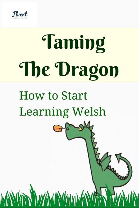 Welsh Ancestry, Learn Welsh, Welsh Words, Welsh Language, Learn Languages, Wales Travel, Own Language, Celtic Heritage, Mountain Ash