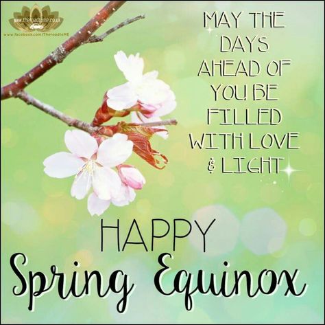 Happy Spring Equinox Happy Spring Equinox Day, Happy Equinox Day, Spring Equinox Blessing, Happy Spring Equinox Quotes, Spring Equinox Quotes, Witches Holidays, Spring Equinox Art, Vernal Equinox Spring, Spring Equinox Celebration