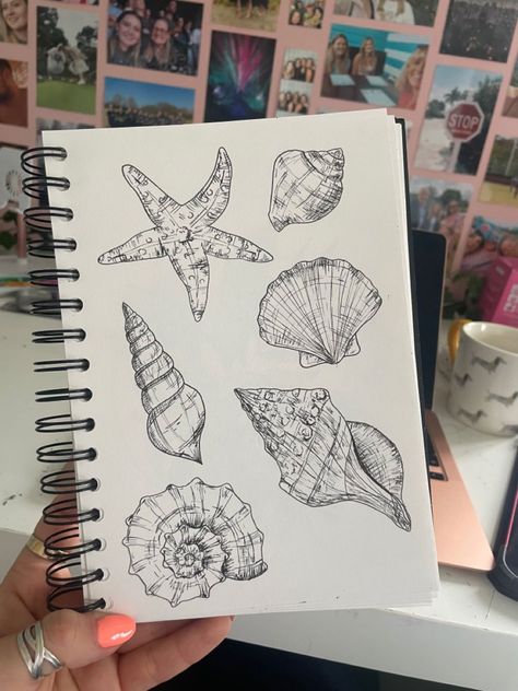 Shell Drawing Aesthetic, Starfish Sketch Drawings, What To Draw On Your Sketchbook, Starfish Drawing Aesthetic, Free Sketch Drawings, Sea Shells Sketch, Drawing Book Ideas Sketchbooks, Drawing Of Shells, How To Draw A Starfish