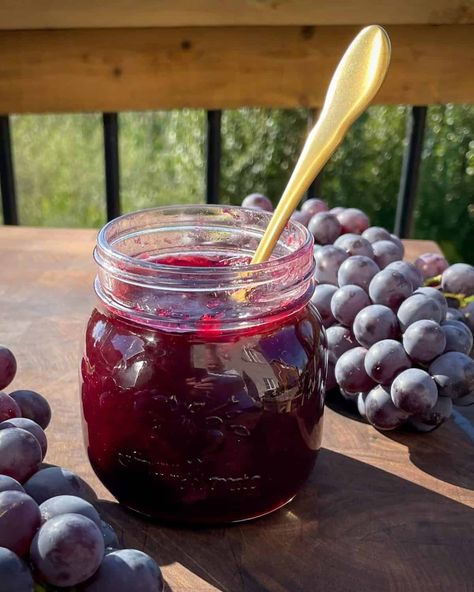 Stilton Cheese Recipes, Concord Grape Recipes, Grape Jam Recipe, Concord Grape Jelly, Concord Grapes, Food Tiktok, Grape Jam, Grape Recipes, Onion Jam