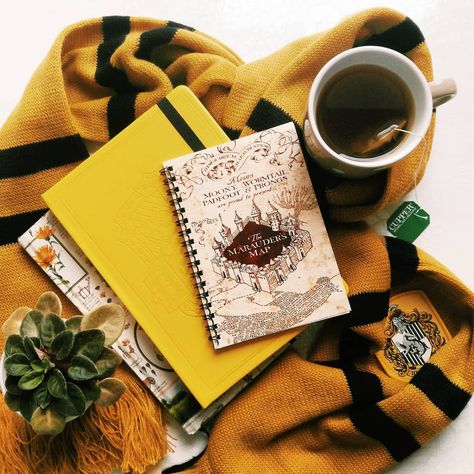 Percy Jackson Series, Slytherin Wallpaper, Hufflepuff Aesthetic, Hufflepuff Pride, Gryffindor Aesthetic, Question To Ask, Dinner Today, Yer A Wizard Harry, Harry Potter Hufflepuff