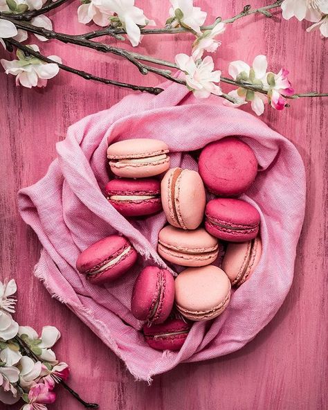 #cake hashtag on Instagram • Photos and Videos Food Network Star, Macaron Cookies, Pink Backdrop, The Chew, Cake Photography, Candy Cake, Food Photography Styling, Photographing Food, Macaroons