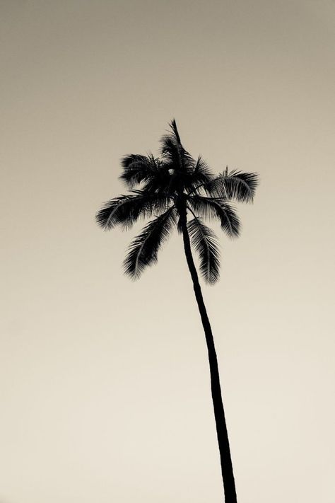 Ombres Portées, Photo Wall Collage, Trik Fotografi, Beige Aesthetic, Tumblr Wallpaper, Nature Aesthetic, Beach Vibe, Instagram Aesthetic, Summer Aesthetic