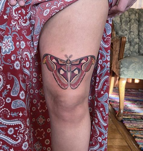 Atlas Moth Tattoo, Atlas Moth, Dark Naturalism, Tattoo Board, Sweet Tattoos, Moth Tattoo, Pottery Ideas, Body Mods, Tattoos With Meaning