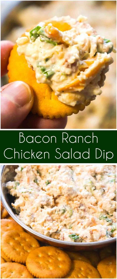 Bacon Cheddar Chicken Salad Dip - This is Not Diet Food Bacon Cheddar Chicken Salad, Chicken Salad Dip, Tailgate Food Cold, Bacon Cheddar Chicken, Tuna Mousse, Bacon Ranch Dip, Salad Dip, Cold Dip, Chicken Salad Recipe Easy