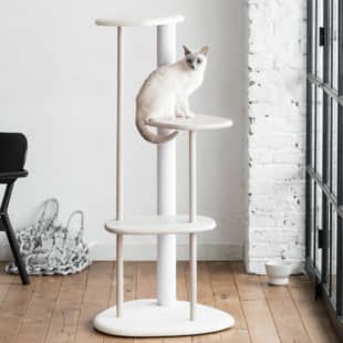 Cat Furniture Design, Katt Grejer, Chat Diy, Diy Cat Tree, Modern Cat Tree, Cat Climbing, Modern Cat, Cat Tower, Scratching Post