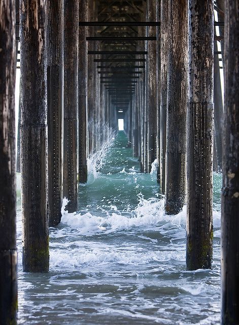 Daytona Beach Florida, Ormond Beach, Daytona Beach, Florida Beaches, Ocean Life, Beach Florida, Ocean Beach, Beach Photos, Beach Photography