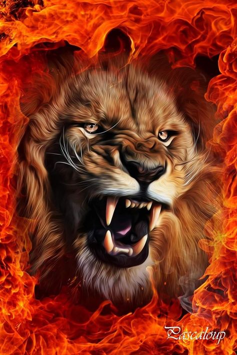 Lion Background, Lion Hd Wallpaper, Angry Lion, Lion Canvas Painting, Kitchen Wall Decoration, Men's Bedroom, Digital Painting Photoshop, Digital Graphics Art, Insta Account