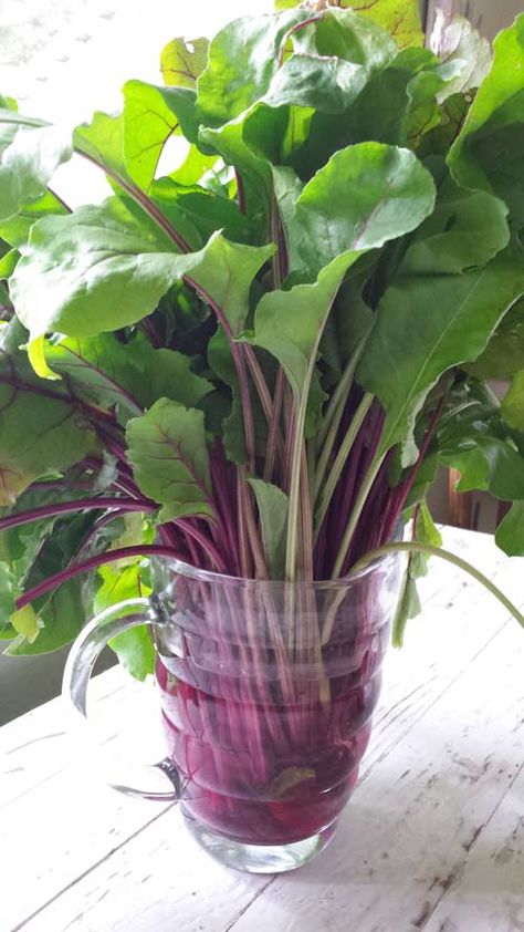 What to do with beet greens... pesto, of course! - Plan to Eat - Plan to Eat Beet Leaf Pesto, What To Do With Beet Leaves, Beet Root Recipes, Beet Leaves Recipe, Roasting Beets, Beet Green Recipes, Green Pesto, Beet Root, Csa Recipes