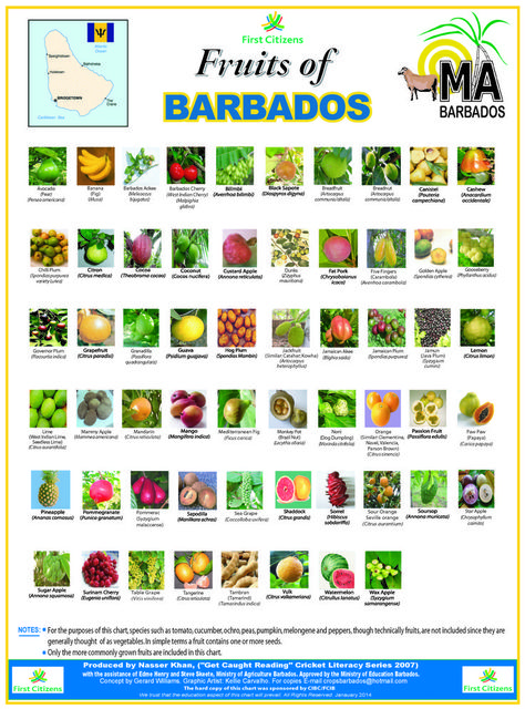 Caribbean Fruits, Barbados Recipes, Bajan Food, Bajan Recipe, Barbados Food, Weird Fruit, Carribean Food, Table Chart, Edible Seeds