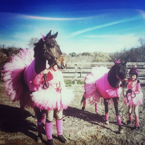 Ballerinas Halloween Costumes For Horses, Costumes For Horses, Horse Halloween Ideas, Horse Fancy Dress, Pony Costume, Horse Halloween Costumes, Horse Halloween, Halloween Horse, Halloween Pets