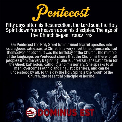 Pentecost Feast, Gifts Of The Holy Spirit, Catholic Prayers Daily, Pentecost Sunday, Following Jesus, Sunday Worship, Bible Topics, The Apostles, Online Bible Study