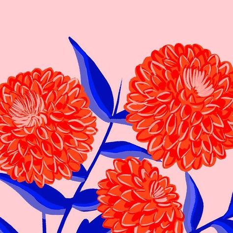 Tara Reed on Instagram: "“Red Dahlias” This is an older illustration but still one of my favorites ❤️ I just added an 8x10 print size to my shop. A 16x20 poster size is also available. I hope these bright beauties give you a small dopamine boost✨ . . . . . . . . #floralillustration #floralart #botanicalart #botanical #botanicalillustration #ncartist #dopaminedecor #dahlias #dahlialove #dahliaillustration #dahliaart #boldandbright #femaleartist #artlicensing #artprints #faire #fairewholesale" Dahlia Pattern, Dahlia Flower Illustration, Dahlia Illustration, Dahlia Art, Dahlia Painting, 16x20 Poster, Watercolor Subjects, Illustration Art Girl, Dahlia Flower