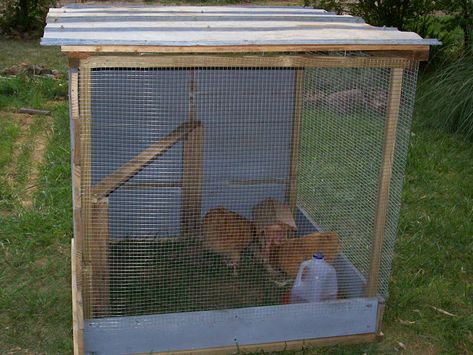 Rooster Coop: 24 hours, 2 Roosters & 1 Great Idea... | BackYard Chickens - Learn How to Raise Chickens Rooster Cages Ideas, Rooster Bachelor Pad, Rooster Bachelor Coop, Rooster House Ideas, Rooster Pen, Rooster House, Rooster Coop, How To Raise Chickens, Raise Chickens