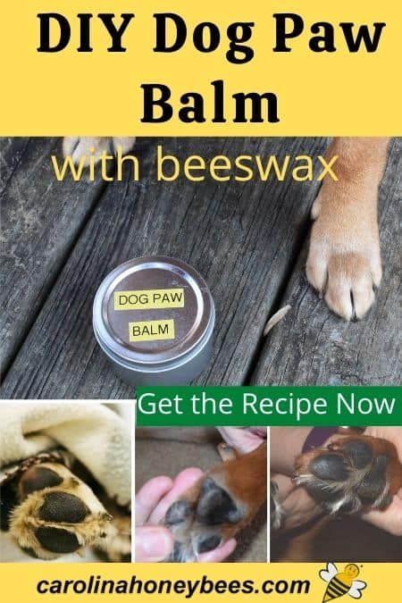 Paw Balm For Dogs Diy, Paw Balm Recipe, Dry Dog Paws, Dog Paw Salve, Beeswax Diy, Dog Paw Moisturizer, Dog Balm, Beeswax Recipes, Dog Paw Balm