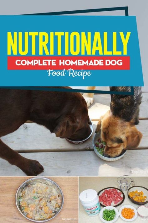 Cooking Guide - Nutritionally Complete Homemade Dog Food Friend Tips, Kids Nutrition Education, Food Crockpot, Pet Recipes, Dog Food Recipe, Make Dog Food, Doggie Treats, Spoiled Dogs, Australia Food