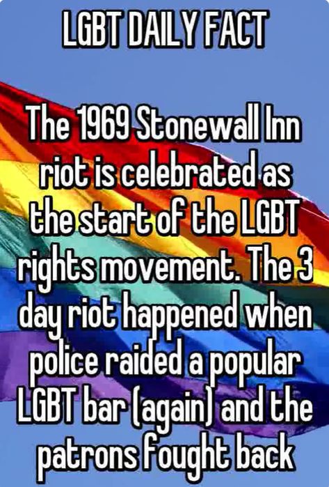 LGBT DAILY FACT # 6, The Stonewall Inn Riots Pride Facts, Pride Knights, Siding For Houses, Lgbtq Facts, Pride Float, Supporting Lgbtq, Siding House, Faux Wall, Stonewall Inn