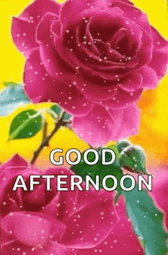 Good Afternoon GIF - Good Afternoon GoodAfternoon - Discover & Share GIFs Good Afternoon Gif, Good Afternoon My Love, Afternoon Messages, Good Luck Gif, Happy Monday Quotes, Good Evening Messages, Birthday Background Design, Good Afternoon Quotes, Afternoon Quotes