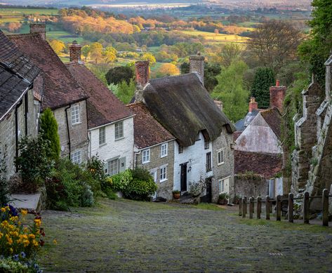 Iconic Gold Hill and a golden landscape, Shaftesbury | Flickr Gold Hill Shaftesbury, Gold Hill, English Village, Thatched Roof, England And Scotland, Places Of Interest, English Cottage, English Countryside, Beautiful Scenery