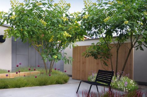 'Planten houden zich niet aan technische fiches': de nieuwe generatie tuinarchitecten - Wonen - Knack Weekend Backyard Pavers, Small City Garden, Modern Garden Design, Garden Architecture, Contemporary Garden, City Garden, Garden Borders, Courtyard Garden, Garden Layout