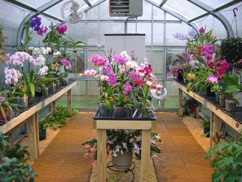 Greenhouse Design, Conservatory Greenhouse, Orchid House, Aluminium Greenhouse, Best Greenhouse, Orchid Greenhouse, Green House Design, Greenhouse Interiors, Wooden Greenhouses