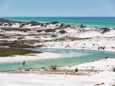 Florida’s Grayton Beach State Park Is So Otherworldly, It Feels Like A Dream Louisiana Beaches, Grayton Beach Florida, Biloxi Beach, Grayton Beach State Park, North Carolina Beaches, Family Beach Trip, Florida City, Visit Florida, Carolina Beach