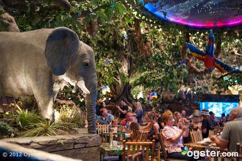 Rainforest Cafe MGM Grand Las Vegas Las Vegas In February, Vegas In February, Rooftop Restaurant Design, Buffalo City, Cafe London, Zoo Architecture, Hotel Floor Plan, Rainforest Cafe, Desain Pantry