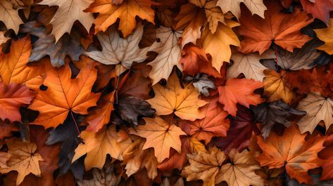 closeup of autumn colorful yellow golden thick blanket of fallen dry maple leaves on ground deciduous abscission period over forest leaf litter, Generative AI Fall Leaves On Ground, Leaf Litter, Thick Blanket, Tree Saw, Heart Tree, Cityscape Photos, Nature Backgrounds, Background Banner, Photo Template