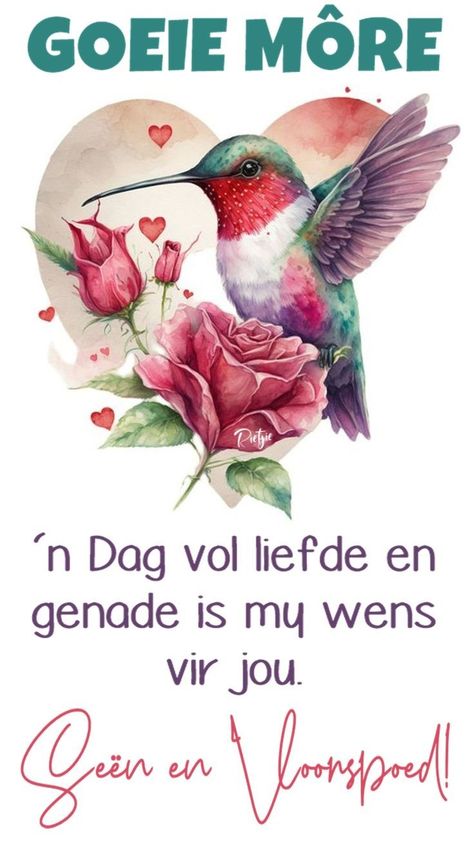 Goeie More Lekker Dag Vir Jou, Mooi Dag Vir Jou Afrikaans, More Se Boodskappe, Mooi Dag Vir Jou, Afrikaans Idiome, In Loving Memory Tattoos, Lekker Dag, Good Morning Beautiful Gif, Goeie Nag