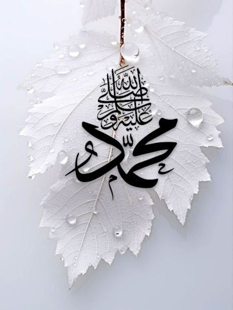 Durood Sharif, Tooth Cartoon, Dove Images, Islamic Wallpaper Iphone, Samurai Artwork, Girly Phone Cases, Allah Wallpaper, Allah Photo, Android Wallpaper Flowers