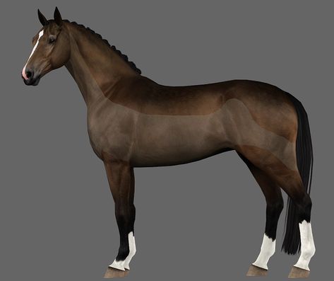 Sims Horses, Horse Clips, Drawing Layout, Horse Clip Art, Star Stable Horses, Horse Clipping, Horse Games, Funny Horses, Star Stable