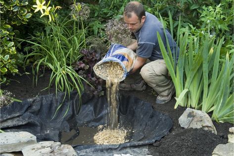 Create bog garden Wetland Garden Backyards, Bog Garden Plants Uk, Bog Garden Plants, Bog Garden Ideas How To Build, Bog Garden Ideas Carnivorous Plants, Bog Garden Ideas, Patrick House, Backyard Permaculture, Toad Garden