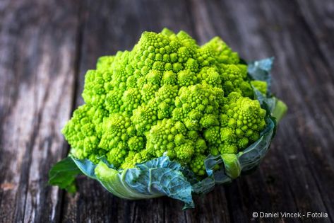 Harvesting Seeds, Romanesco Broccoli, Chou Romanesco, Brassica Oleracea, Asian Vegetables, New York Food, Food Critic, Potato Pancakes, Dried Beans