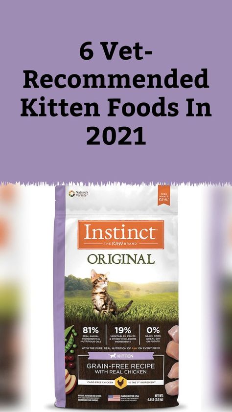 Best Kitten Food, Kitten Food Homemade, New Kitten, Small Kittens, Chicken Cages, Kitten Food, Food Charts, Best Diet, Grain Free Recipes