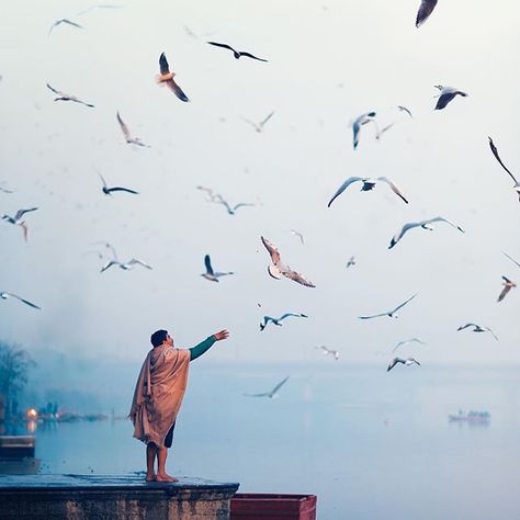 "Every winter, flocks of Siberian seagulls migrate through Delhi, making a temporary home in the Yamuna river. During the sunrise, the local people feed these birds as they circle around them to catch the food that’s tossed their way. I arrived at the banks of the Yamuna in the early morning to observe this magical scene, and while the image itself came out amazing, what was truly wondrous was witnessing this unlikely bond between human and nature."  📷 @ashrafularefin 📍Yam Yamuna Ghat, Yamuna River, India Photography, Migratory Birds, Travel Wishlist, Aesthetic Photography Nature, Street Photographers, Street Photo, Bird Photography