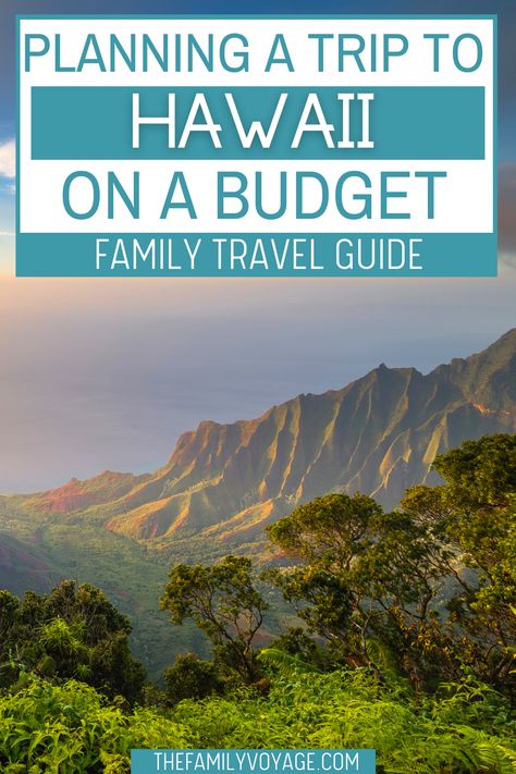 Planning A Family Trip To Hawaii, Family Trip Hawaii, Hawaii On A Budget Families, Family Trip To Hawaii, Hawaii With Kids, Hawaii Tips, Hawaii On A Budget, Hawaii Family Vacation, Hawaii Trip Planning