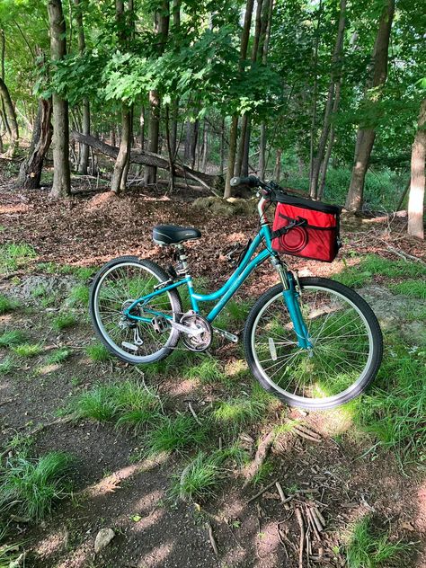 Leo and I took a nice bike ride around the neighborhood and through the woods, it was fun. This bike handles the trail nicely. The Neighborhood, The Trail, Bike Ride, The Neighbourhood, Handles, Take That, Bike, Wood, On Instagram