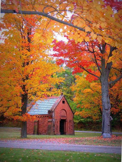 Fall Color in Park Cemetery, Marquette October Country, Autumn Scenes, Shiga, Autumn Scenery, Fabulous Fall, Autumn Beauty, Fall Pictures, Fall Photos, Fall Foliage