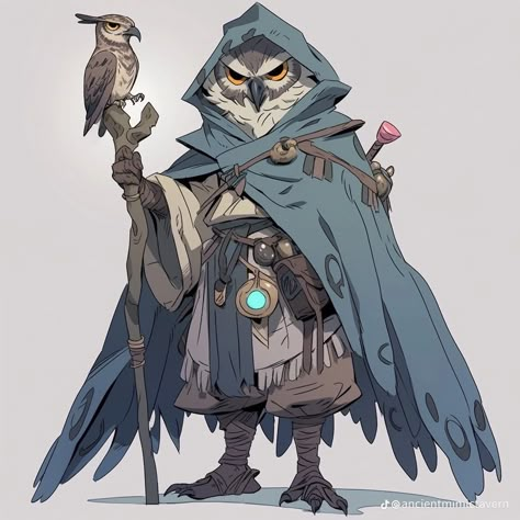 Owlin Character Design, Dnd Divination Wizard, Owl Dnd Character, Owlin Wizard, Owling Dnd, Owlin Dnd, Owl Wizard, Warlock Dnd, Dnd Wizard