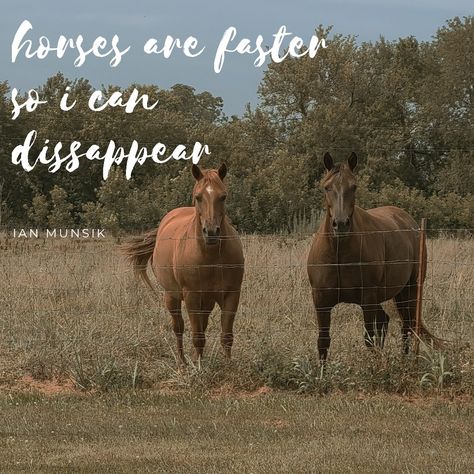 Ian Munsick Wallpaper, Ian Munsick, Ian Munsick Quote, Country Song Lyric Wallpapers, Inspirational Country Lyrics, Horse Wallpaper With Quotes, Best Country Singers, Leg Sleeves, King Queen