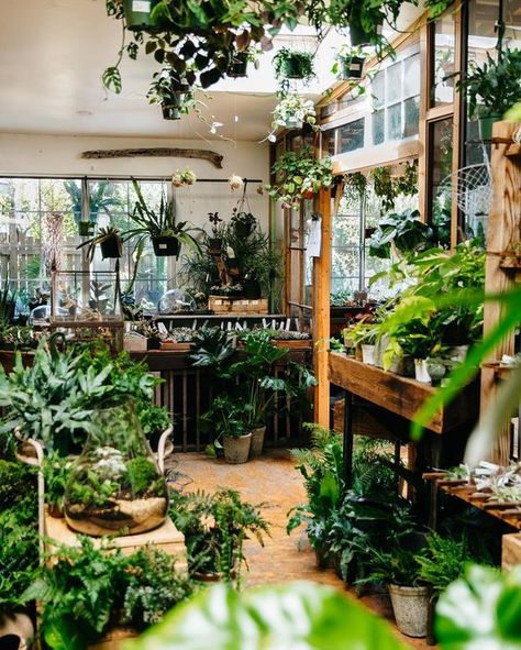 Botanical Interior, Conservatory Greenhouse, Woodland House, Indoor Greenhouse, Deco Nature, Garden Bedroom, Room With Plants, Plant Design, Color Of The Year