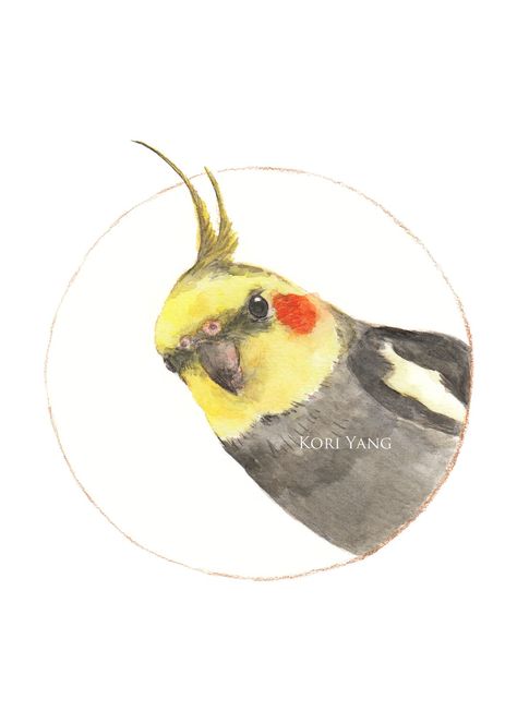 ‧ Size - 5 X 7 Print ‧ Print on Watercolor paper ‧ 300gsm ‧ 140lbs ‧ acid free ‧ Signed & dated Cockatiel Watercolor, Bird Seed Crafts, Cockatiel Art, Diy Watercolor Painting, Sign Dates, Diy Watercolor, Bird Seed, Free Sign, Drawing Lessons