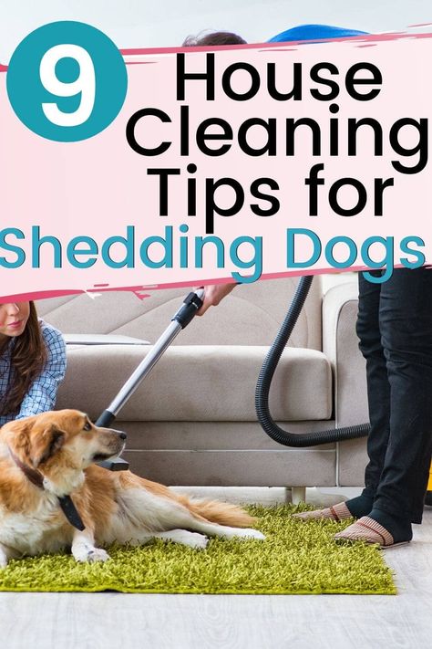 Clean Home With Dogs, Clean House With Dogs, Cleaning Dog Hair, Dog Hair Cleaning, Living With Dogs, Hair Clean, Dog Family, Animal Fun, Dog Health Tips