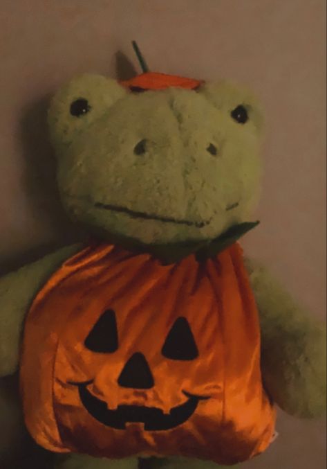 Cat In Frog Costume, Build A Bear Frog Halloween, Froggy Clothes, Froggy Outfit, Build A Bear Frog, Frog Photo, Frog Plushie, Frog Costume, Pumpkin Costume