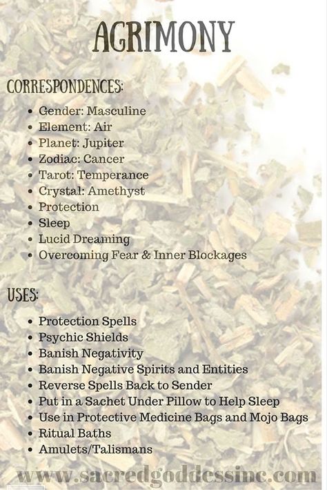 The Magick of Herbs: Agrimony (Printable for Your BOS) – Witches Of The Craft® Magickal Herbs, Witch Herbs, Magic Herbs, Magical Herbs, Hedge Witch, Herbal Magic, Practical Magic, Kitchen Witch, Healing Herbs