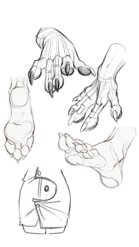 Paw Sketch, Paw Drawing, Human Anatomy Drawing, Hand Drawing Reference, Body Reference Drawing, Figure Drawing Reference, Art Prompts, Anatomy Art, Art Tutorials Drawing